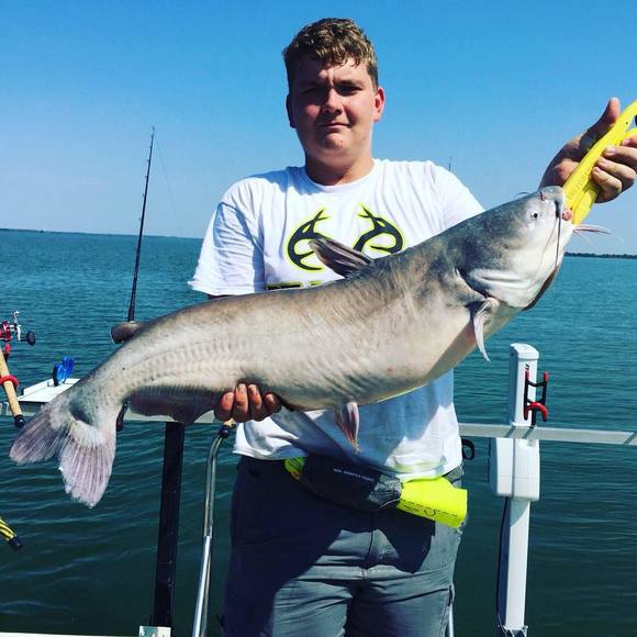 Meet your Posher, Hünter - Picture 1 of 1